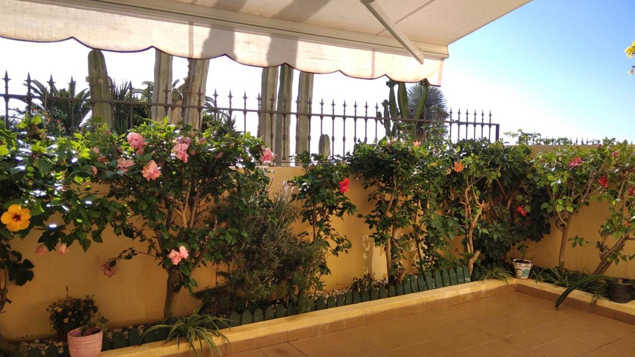Casa El Sentir Apartment Sauzal Exterior photo